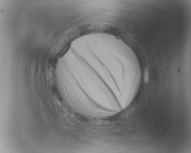 X0000051241059200507152117