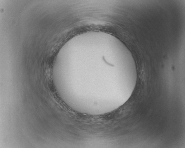 X0000051241061200507152117