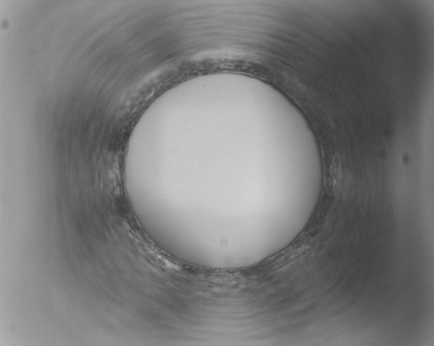 X0000051241062200507152117