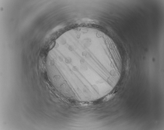 X0000051241063200507152117