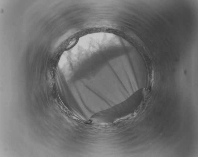 X0000051241064200507152117