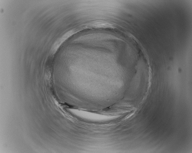 X0000051241065200507152117