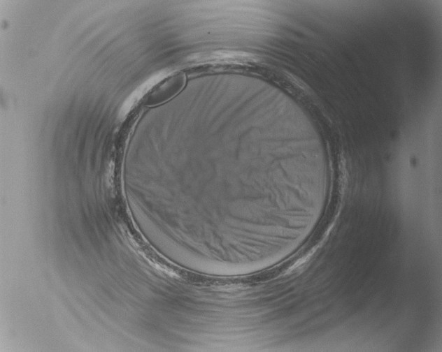 X0000051241066200507152117