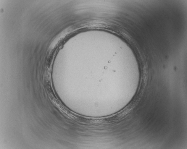 X0000051241067200507152117