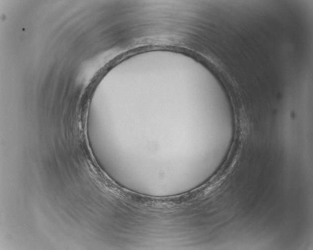 X0000051241070200507152117