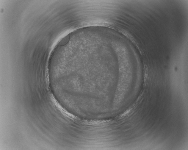 X0000051241072200507152117