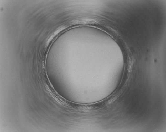 X0000051241073200507152117