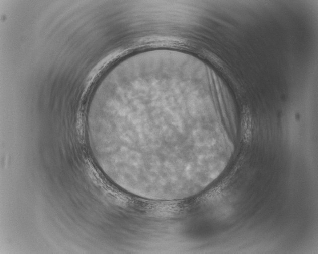 X0000051241074200507152117