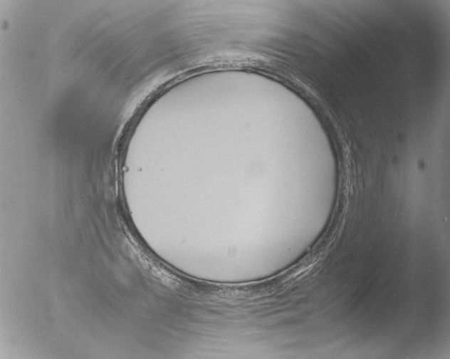 X0000051241075200507152117