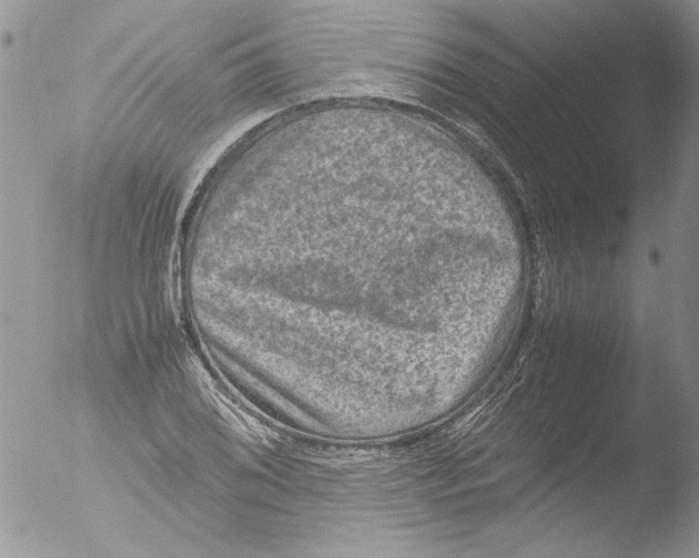 X0000051241076200507152117