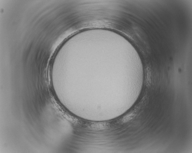 X0000051241078200507152117