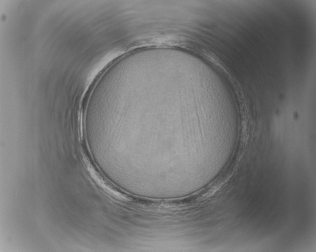 X0000051241079200507152117