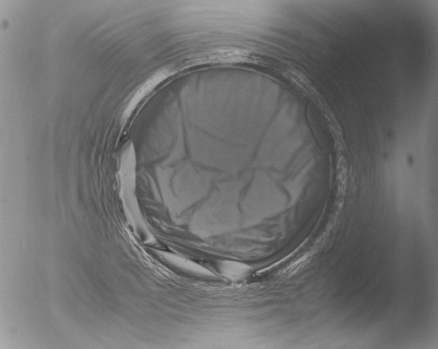 X0000051241081200507152117