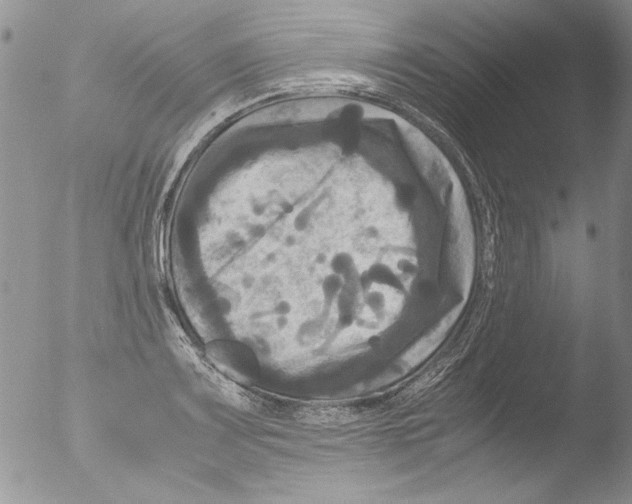 X0000051241083200507152117