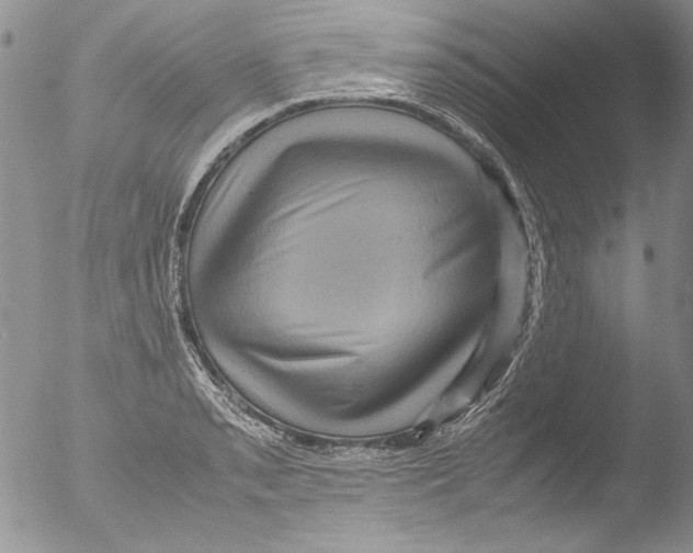 X0000051241085200507152117