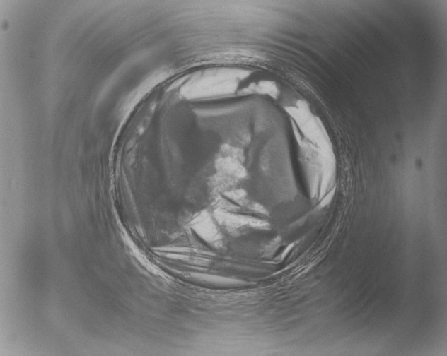 X0000051241087200507152117