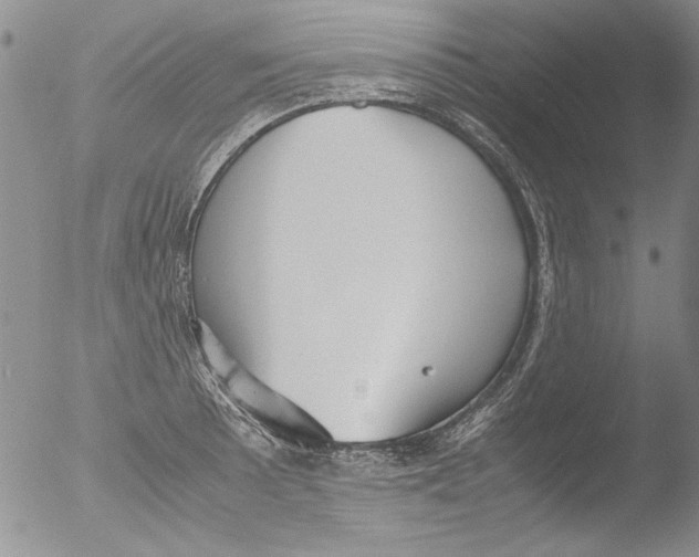 X0000051241089200507152117