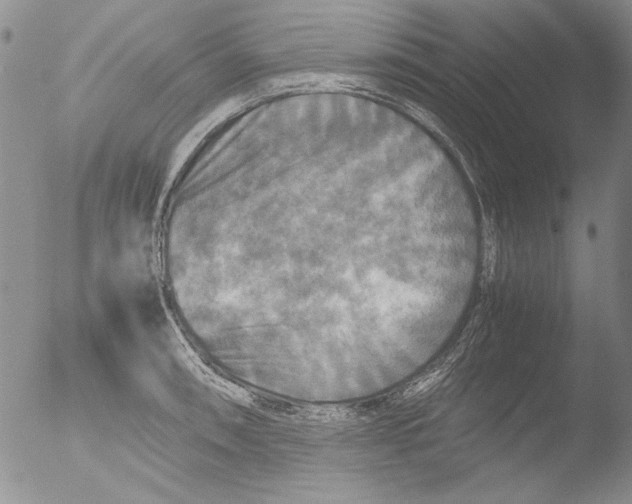 X0000051241090200507152117