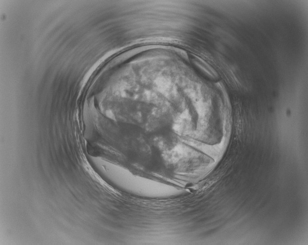 X0000051241092200507152117