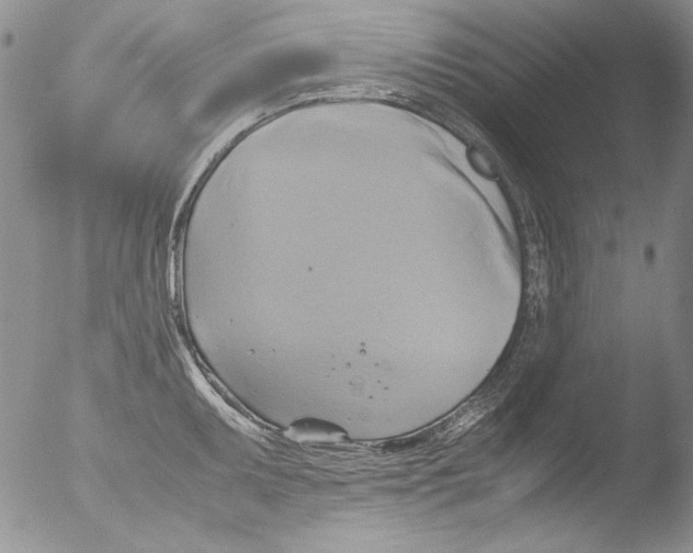 X0000051241095200507152117