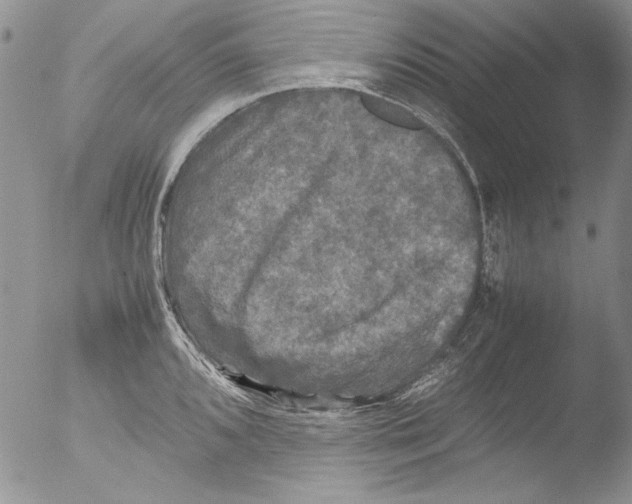 X0000051241096200507152117