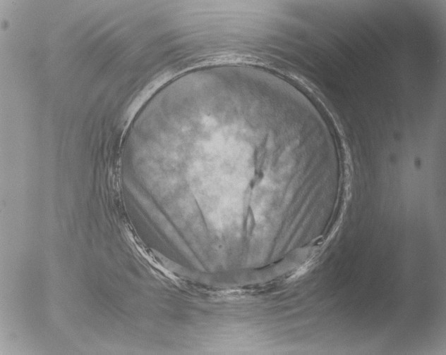 X0000051241097200507152117