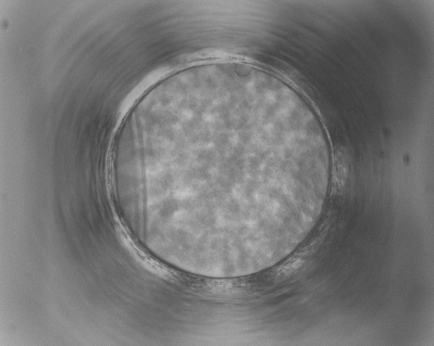 X0000051241098200507152117