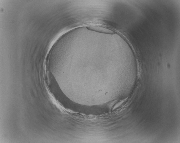 X0000051241099200507152117