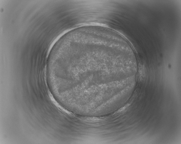 X0000051241100200507152117