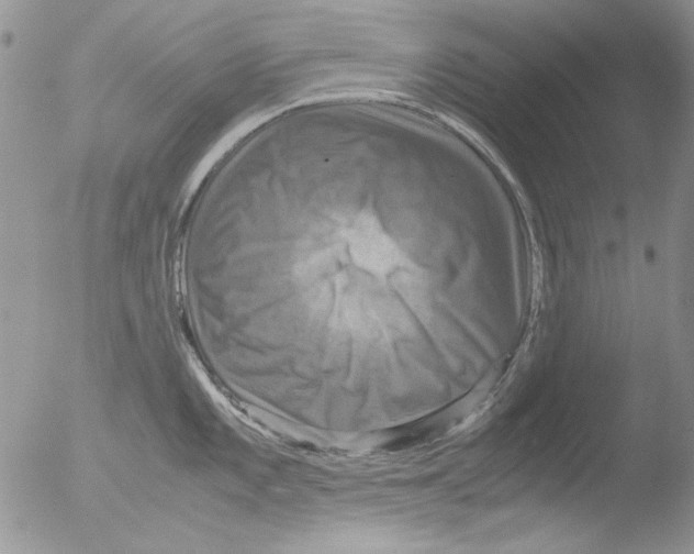 X0000051241101200507152117