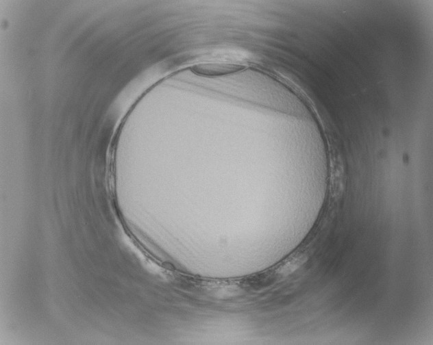 X0000051241103200507152117