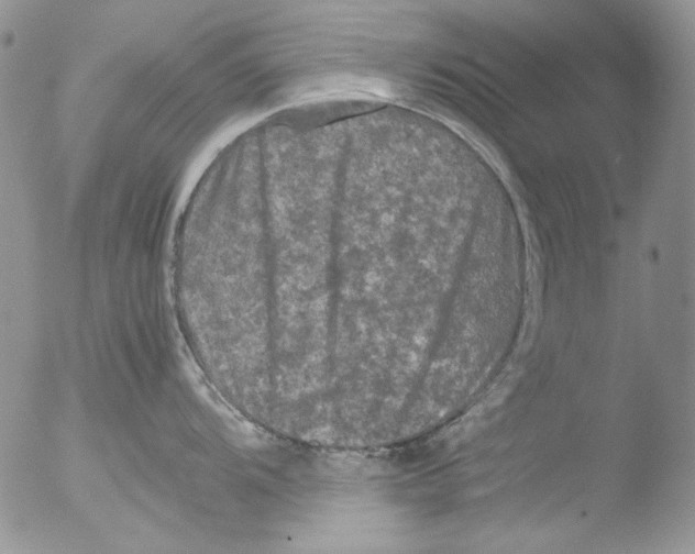 X0000051241104200507152117