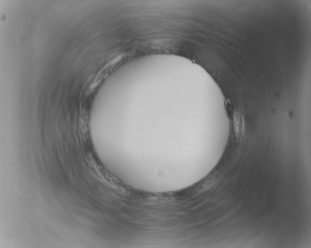 X0000051241107200507152116