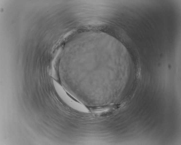 X0000051241108200507152116