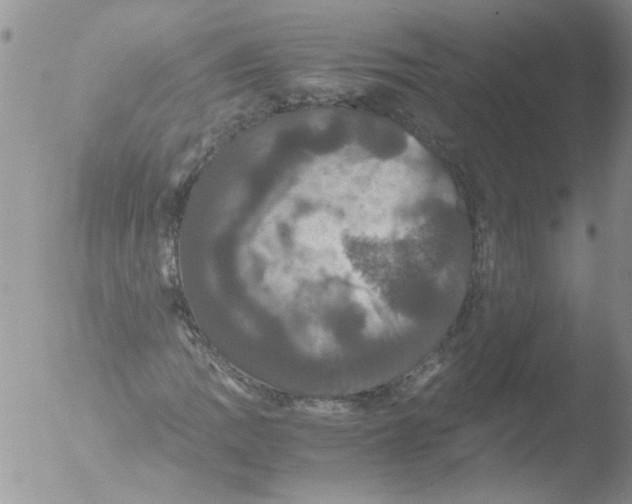 X0000051241109200507152116