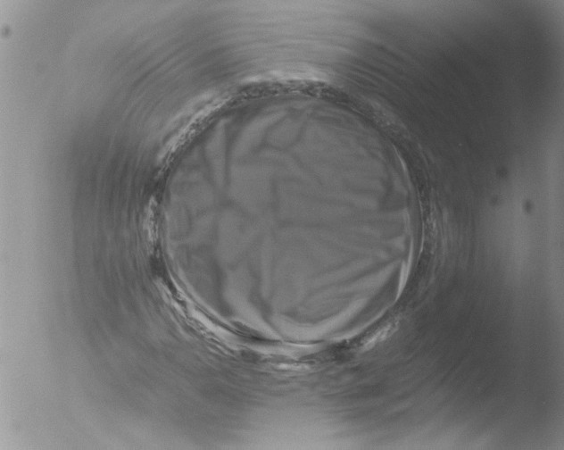 X0000051241110200507152116