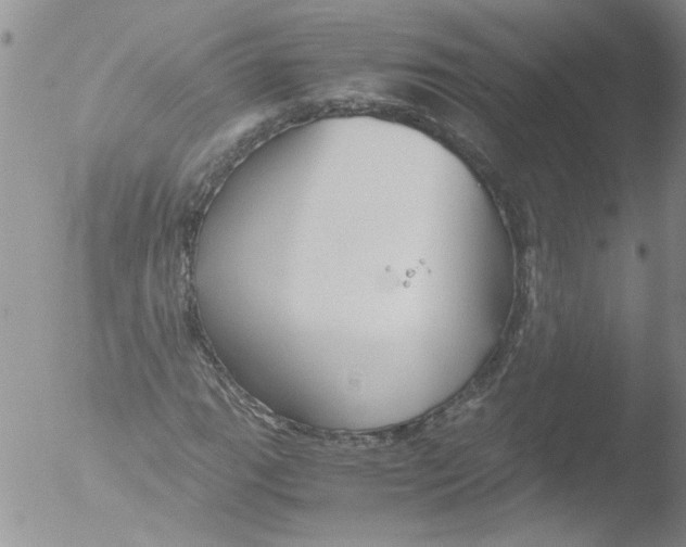 X0000051241111200507152116