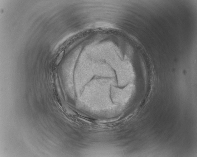 X0000051241112200507152116