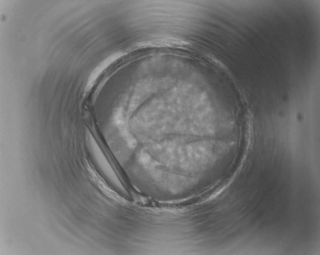 X0000051241114200507152116