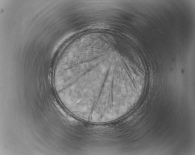 X0000051241115200507152116