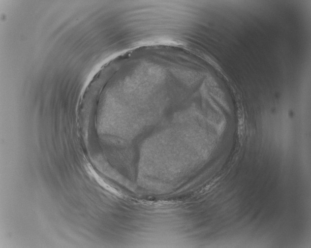 X0000051241116200507152116