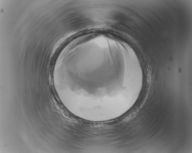 X0000051241117200507152116