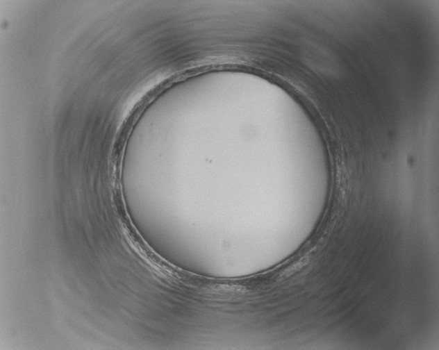 X0000051241119200507152116