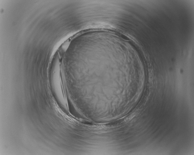 X0000051241120200507152116