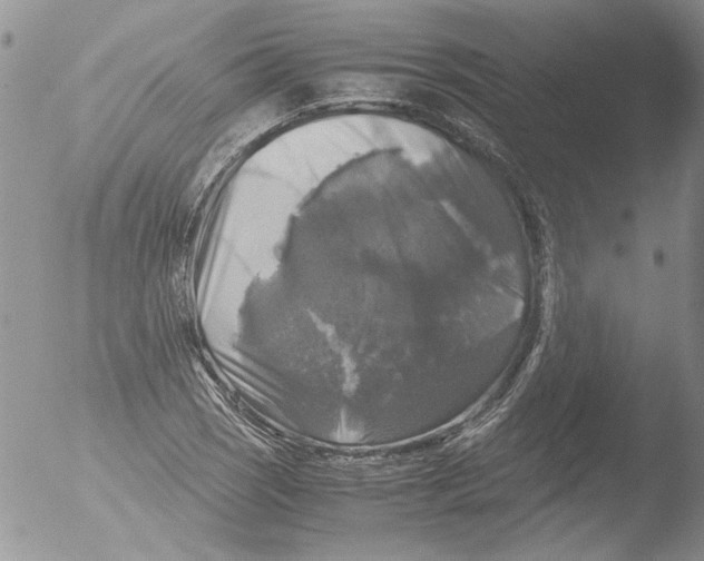 X0000051241121200507152116