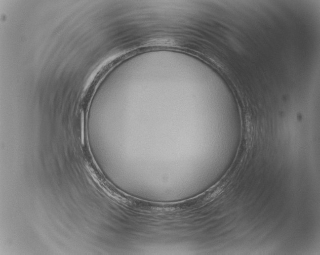 X0000051241123200507152116