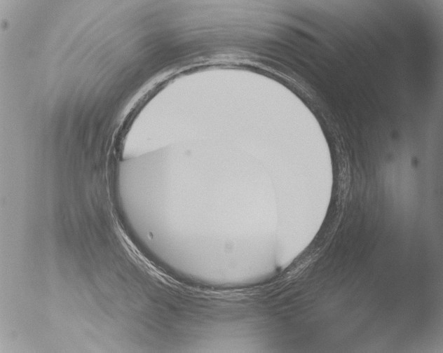 X0000051241126200507152116