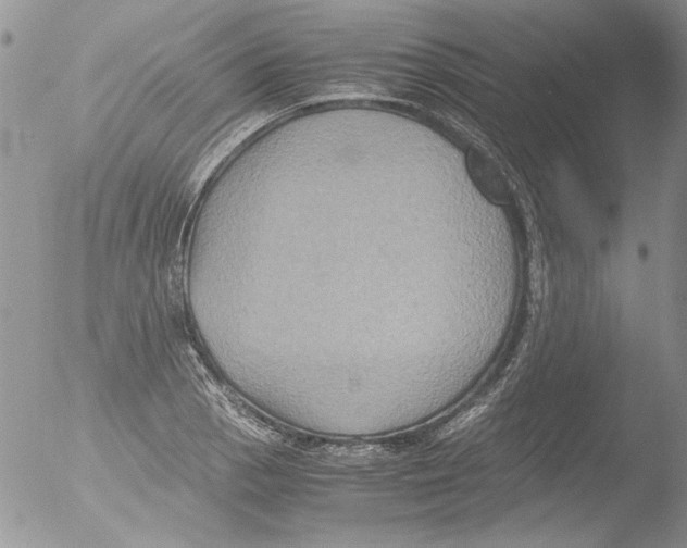 X0000051241129200507152116