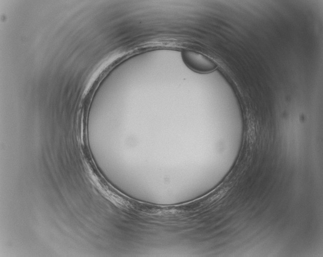 X0000051241131200507152116