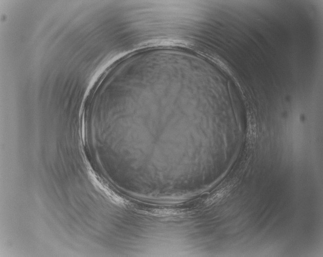 X0000051241132200507152116